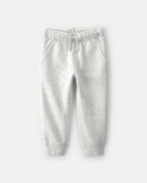 Toddler Boy Fleece Joggers - Grey