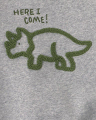 Baby Boy 2-Piece Dinosaur Fleece Pullover & Pant Set - Grey