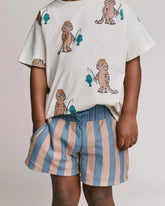 Toddler Boy Long-Line Shorts in Stripes - Slate Blue/Brown