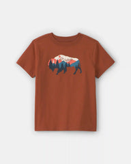 Boys Buffalo Mountain Graphic Tee - Brown