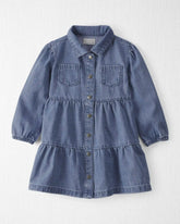 Toddler Girl Organic Cotton Denim Dress