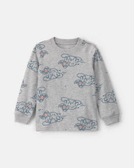 Toddler Boy Dinosaur Long-Sleeve T-Shirt - Grey