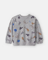 Toddler Boy Game Day Pullover Sweatshirt - Grey