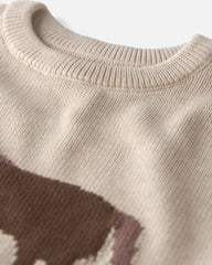 Kids Organic Cotton Horse Sweater Knit Pullover
