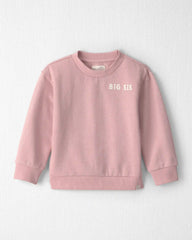 Toddler Girl Organic Cotton Big Sis Pullover