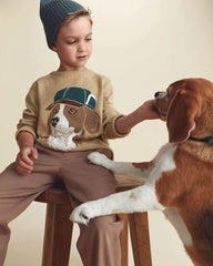 Boys Dog Sweater - Brown