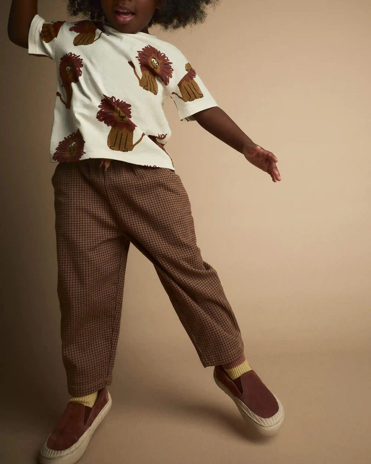 Toddler Boy Playground Pants in Gingham - Brown