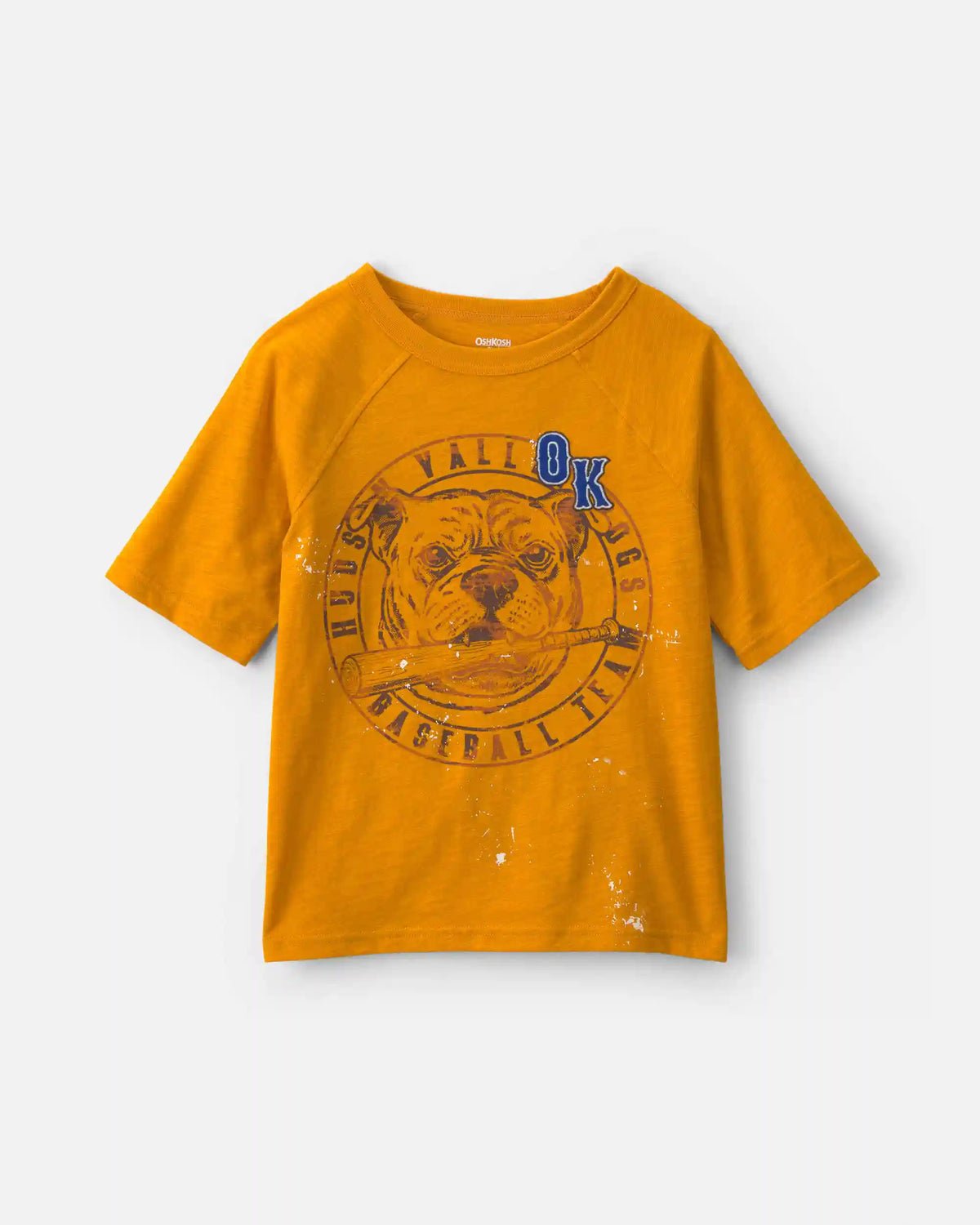 Boys 'Hudson Valley Dogs' Graphic Tee - Yellow