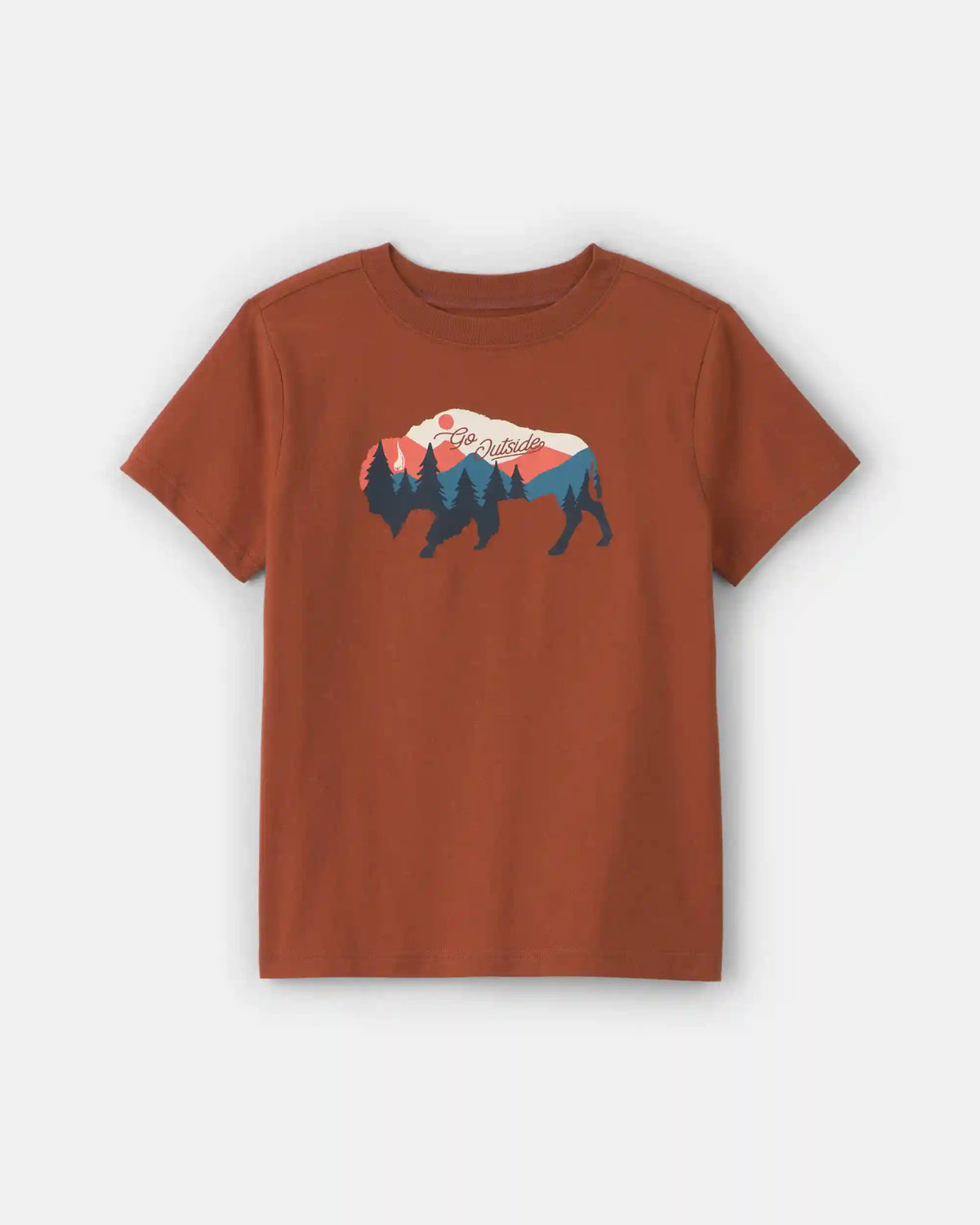 Boys Buffalo Mountain Graphic Tee - Brown