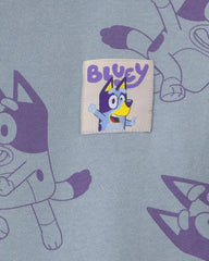 Toddler Girl Bluey™ Fleece Pullover Sweatshirt - Blue