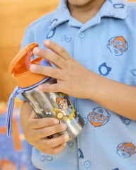 Blippi Stainless Steel Straw Bottle